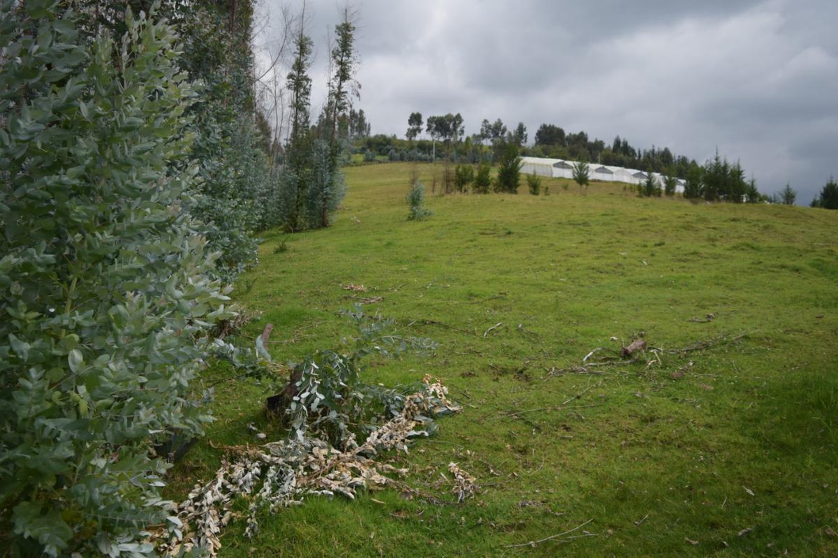 Terreno en El Quinche