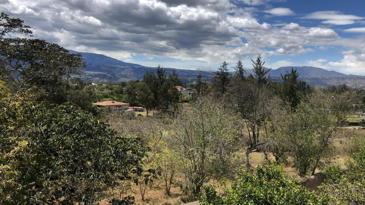 Terreno de venta en Puembo cerca a la Iglesia