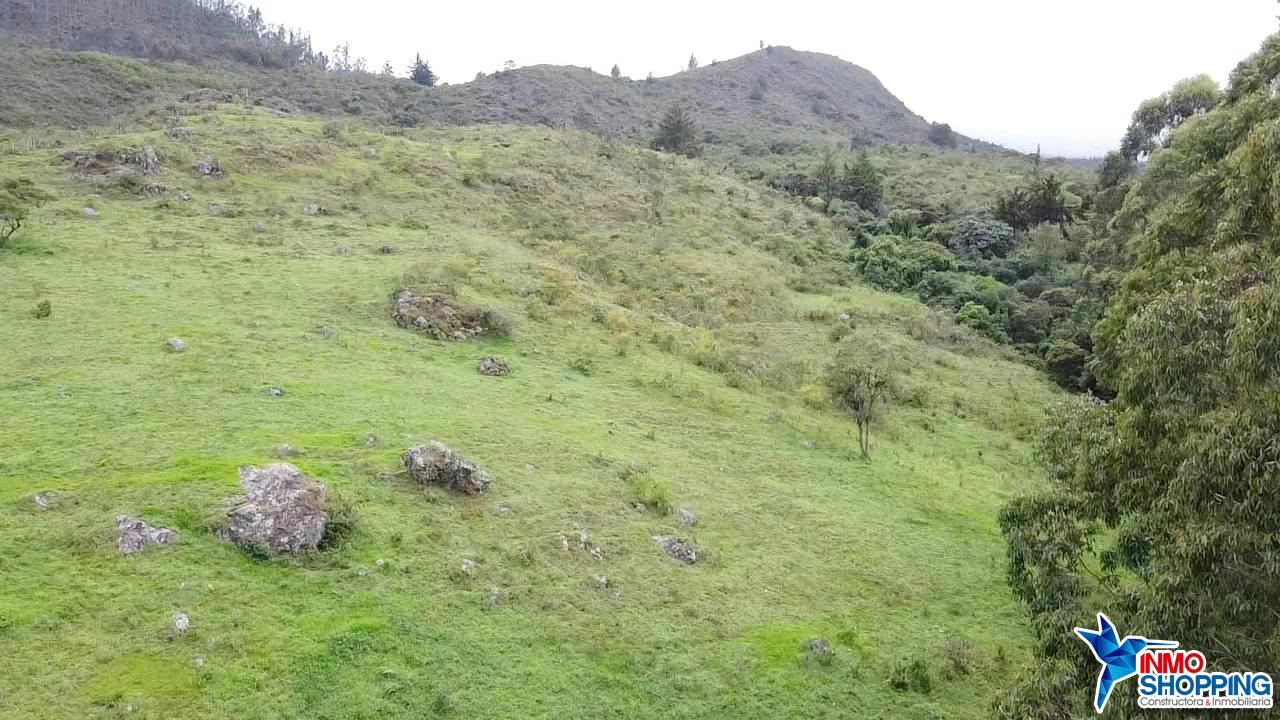 Terreno en venta de 25,4 hectáreas en el sector Cango Alto - Cariamanga