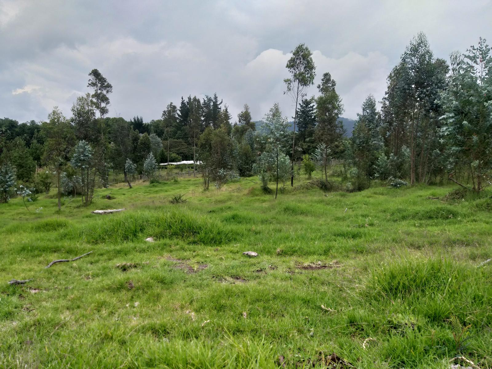 Terreno en  Venta en el Sector de La Merced Valle de Los Chillos, 2500 y 2700mts.