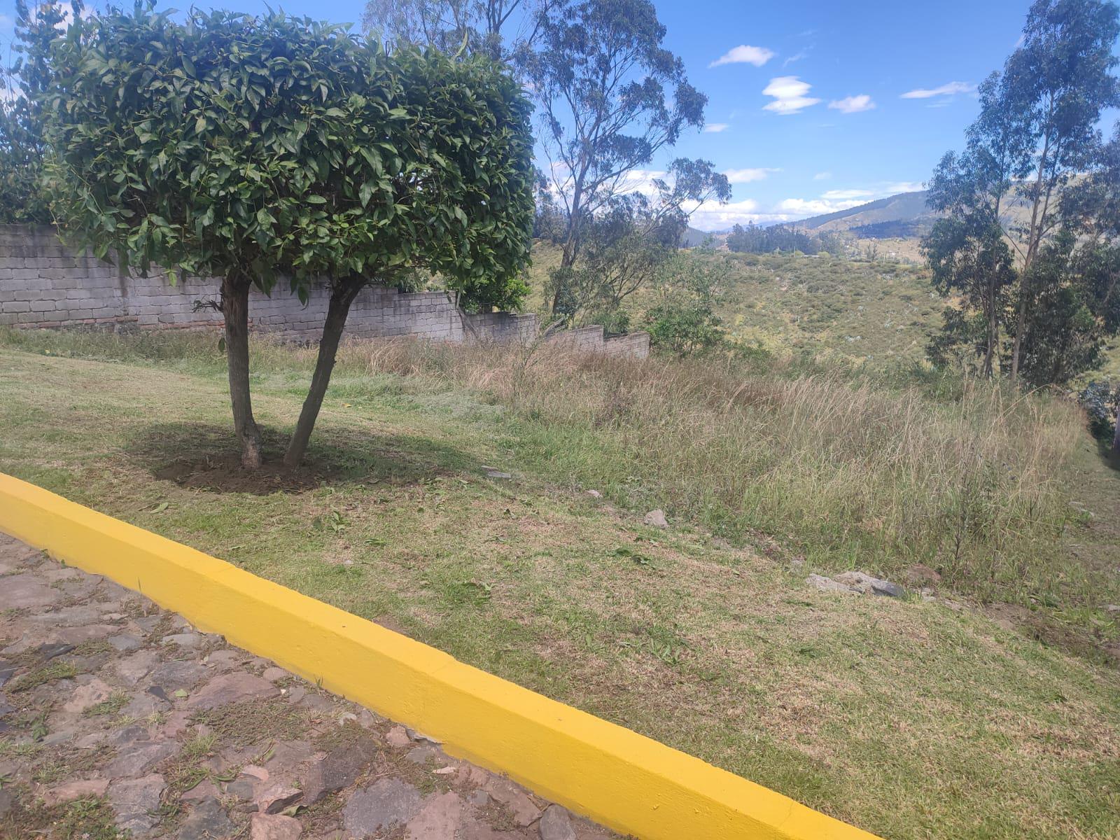 Pifo, Terreno en venta, 503 m2, 2 pisos, frente total 17 m, cos 20