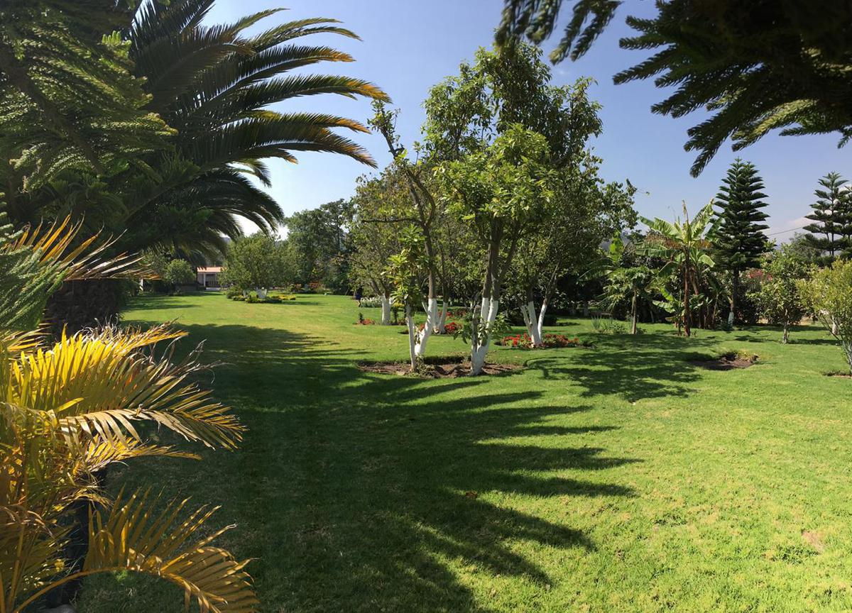 VENTA de hermosa Quinta en Guayllabamba con piscina, palmeras, casa de campo y cabañas