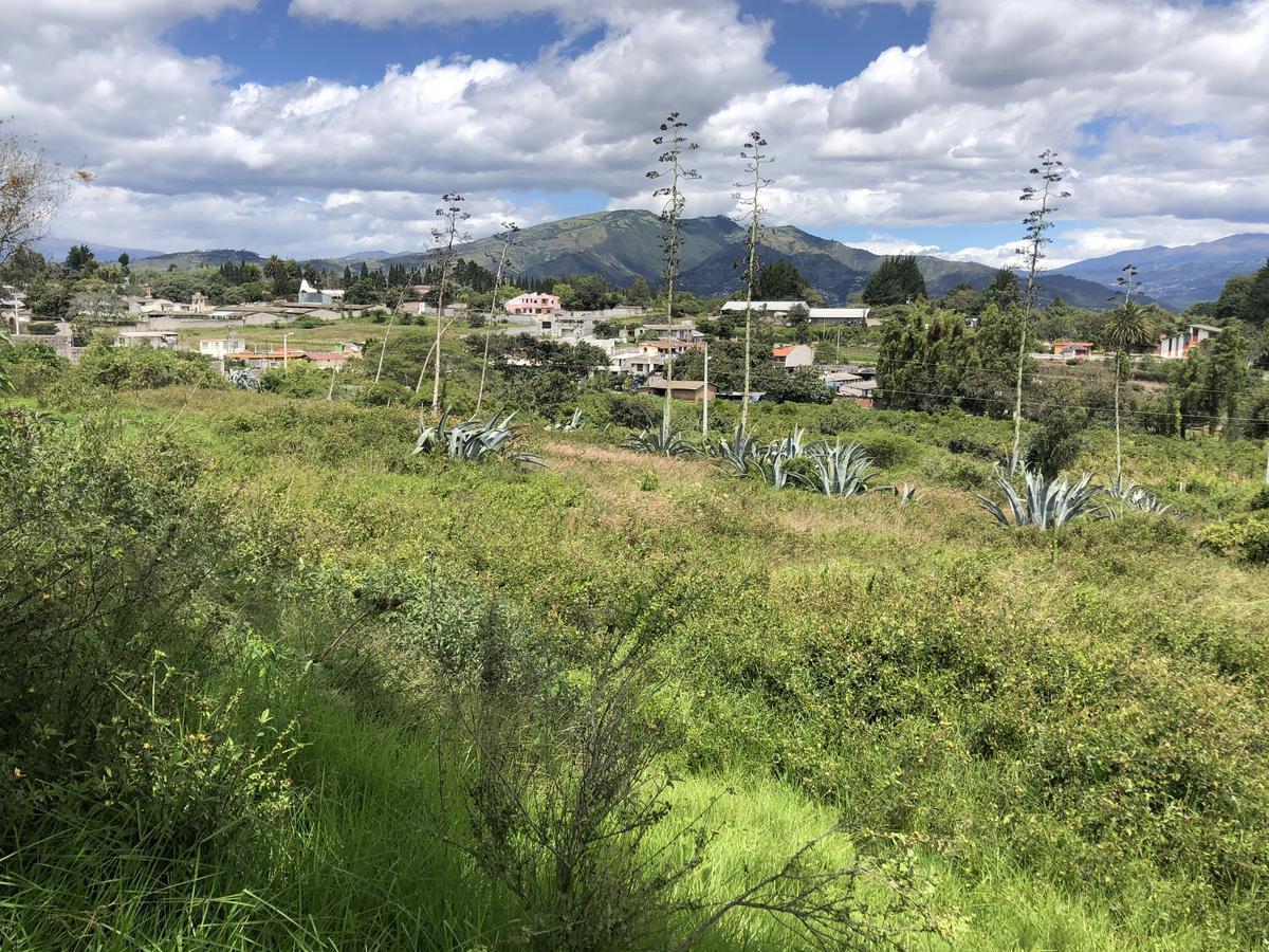 Terreno de venta en Puembo, antes de los Arrayanes