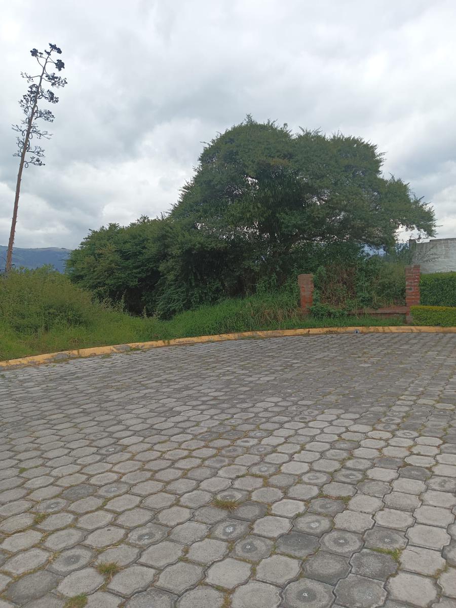 TERRENO EN VENTA TUMBACO LA MORITA