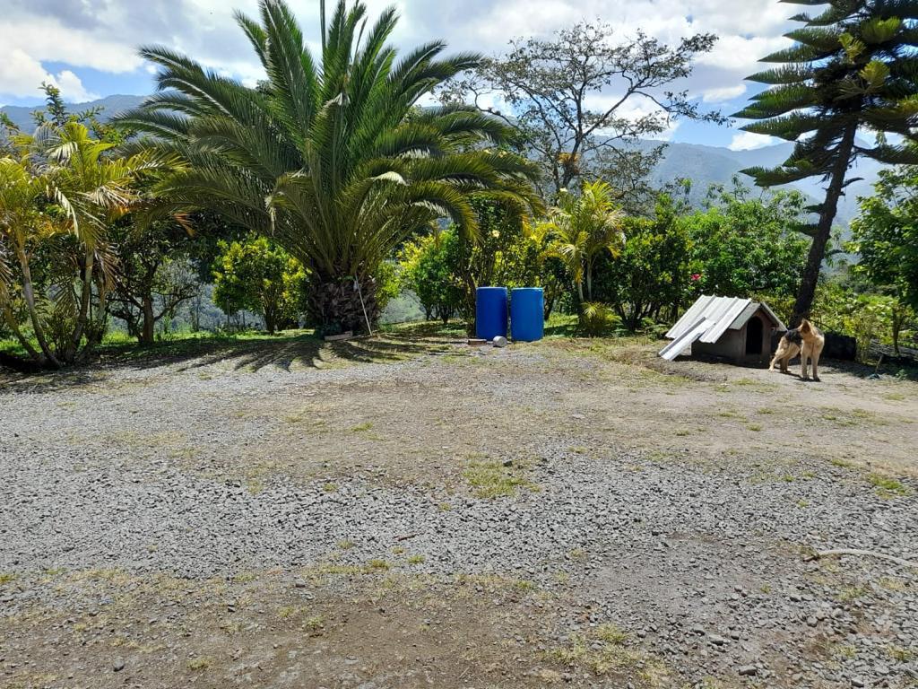 FINCA DE VENTA EN COTACACHI CON CASA DE CAMPO SECTOR CAZARPAMBA