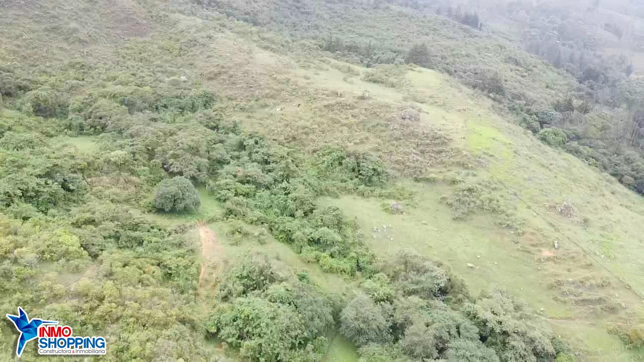 Terreno en venta de 25,4 hectáreas en el sector Cango Alto - Cariamanga