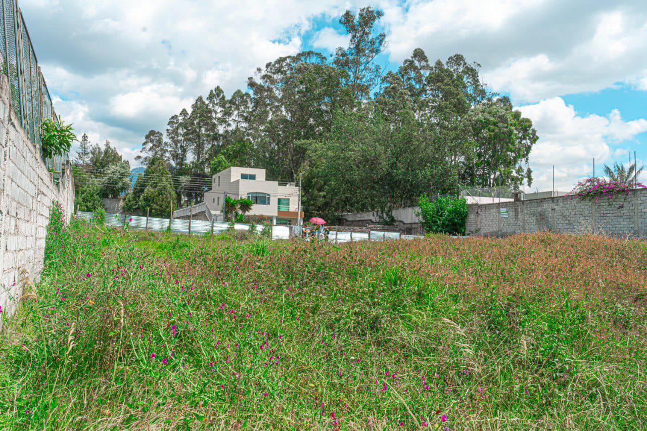 Terreno en Monteserrín