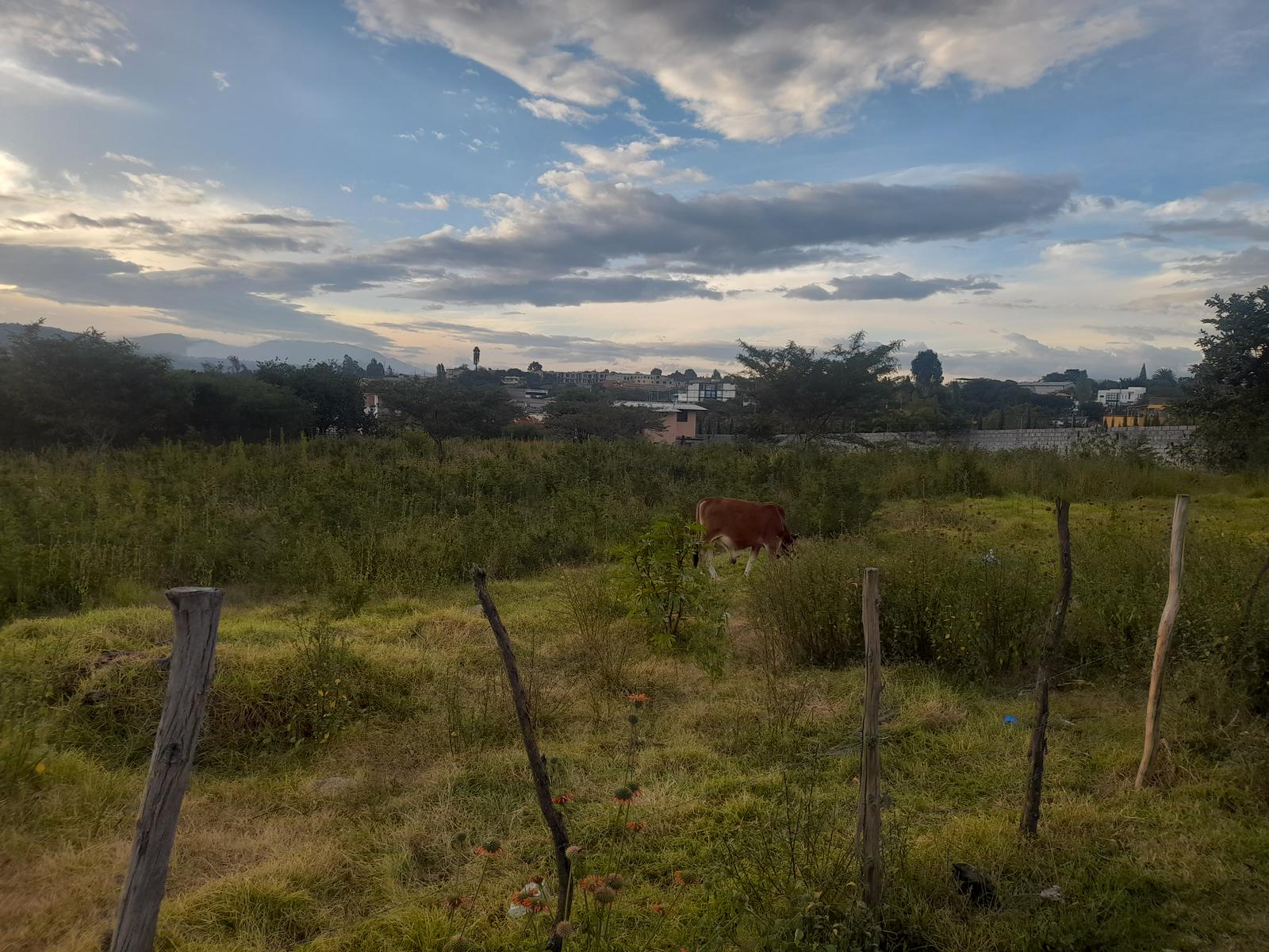 Terreno en venta en Santa Rosa de Tumbaco