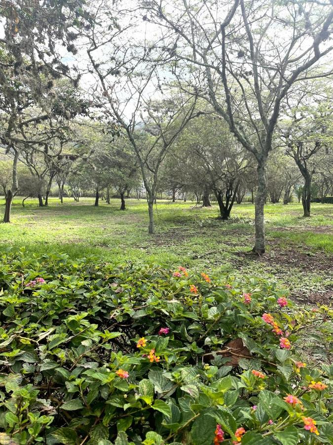 VENDO hermoso terreno en ALGARROBOS de PILLAGUA