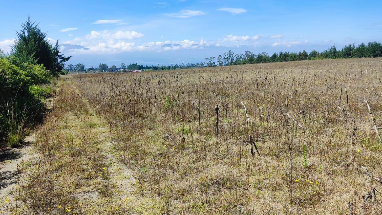 Terreno de 56.400 m2  venta en Malchinguí