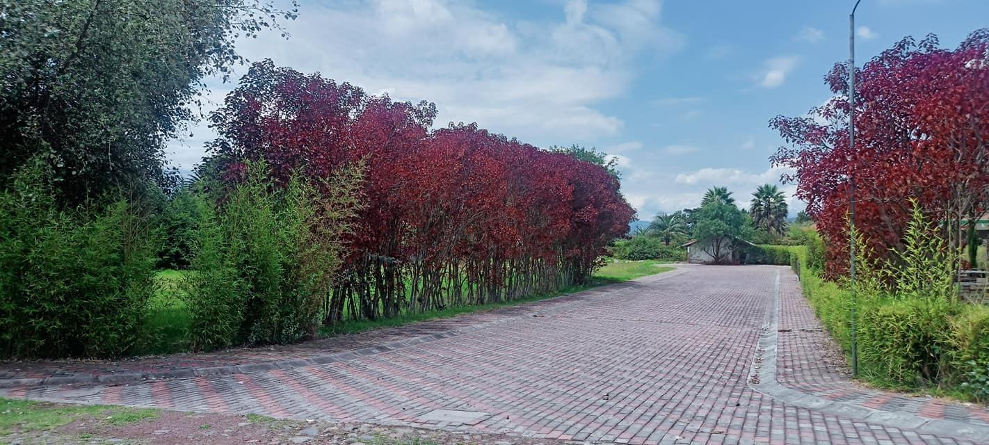 VENDO TERRENO  ESQUINERO RODEADO DE NATURALEZA DENTRO DE URBANIZACIÓN