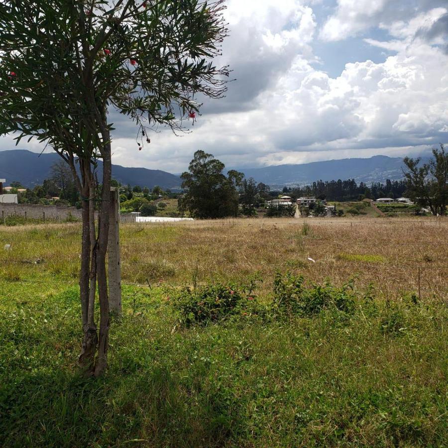 VENDO TERRENO DE 3.8 HECTAREAS EN PUEMBO - IDEAL PARA PROYECTO INMOBILIARIO