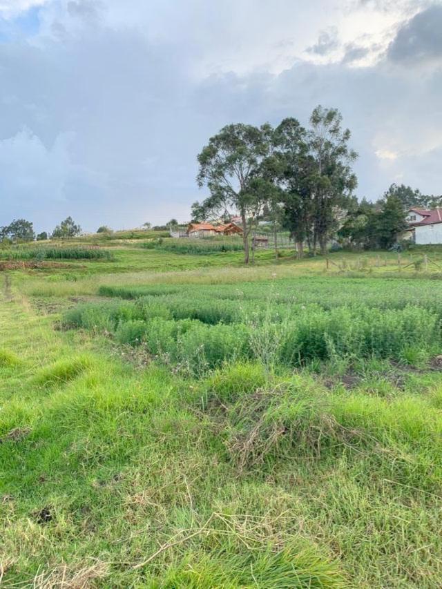 Hermoso terreno en venta plano 1.980m2 vía El Valle, sector El Despacho, con IPRUS para tres lotes.