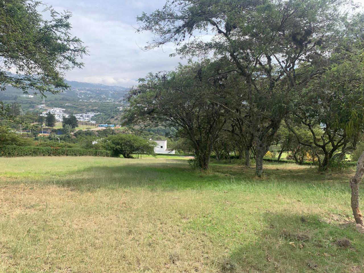 TERRENO DE VENTA URBANIZACION LA QUINTA