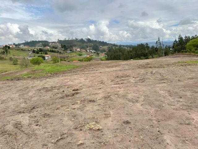 Oportunidad Terreno en venta 31.000m2 planos sector Monay - Baguanchi