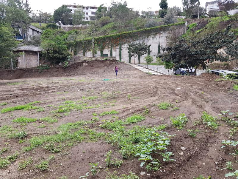 Cumbayá - Los Conquistadores, excelente terreno de 1.011,00 m2 unifamiliar