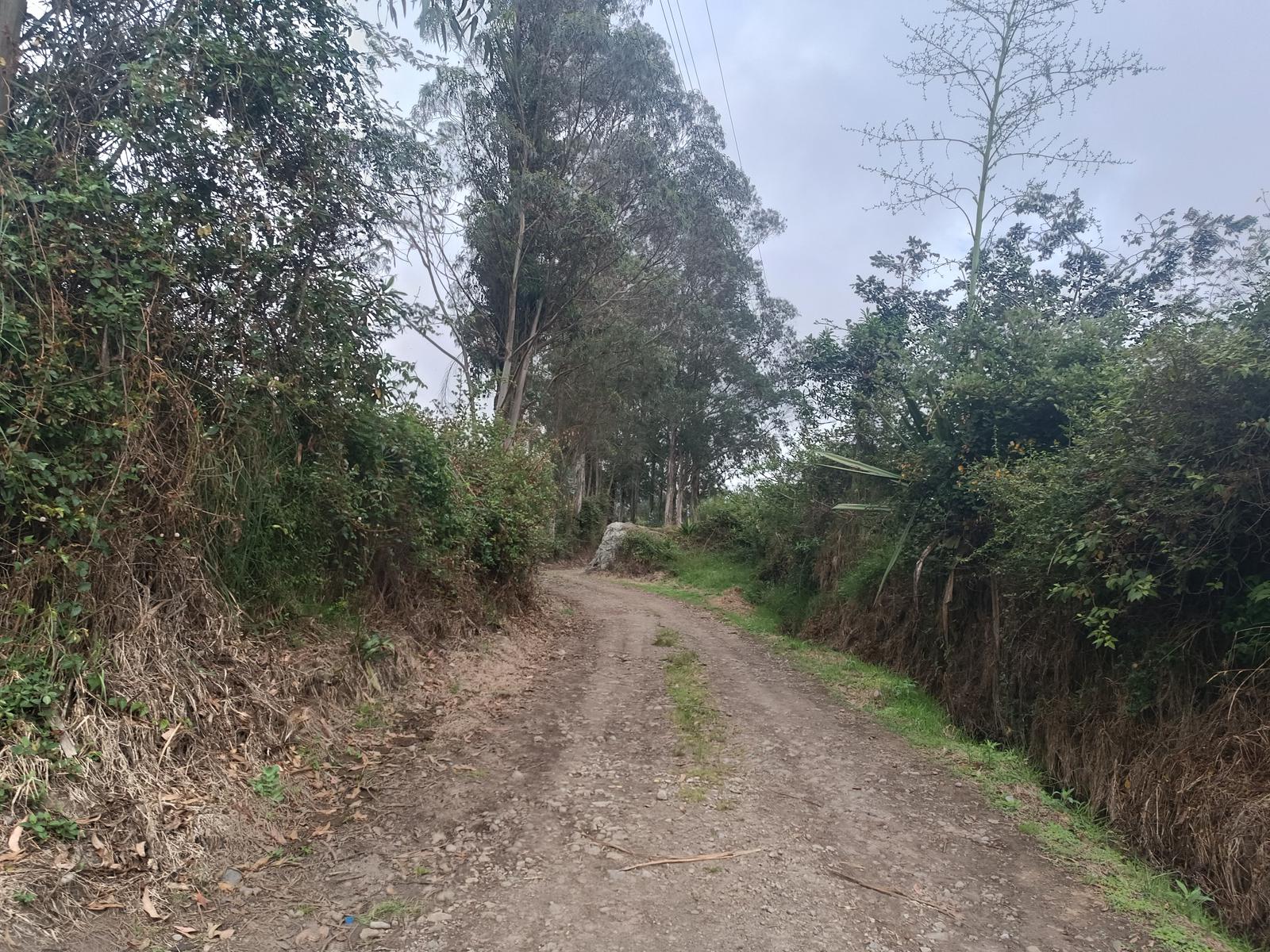 Terreno en  Venta en la Esperanza sector  Cadena a pocas cuadras  de la  Hosteria casa Victoria