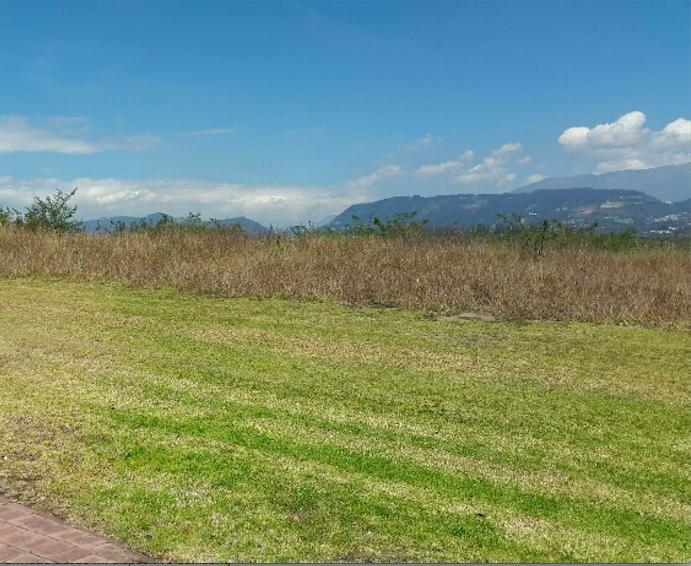 PUEMBO TERRENO DE VENTA EN URB. ARRAYANES.VISTA ESPECTACULAR