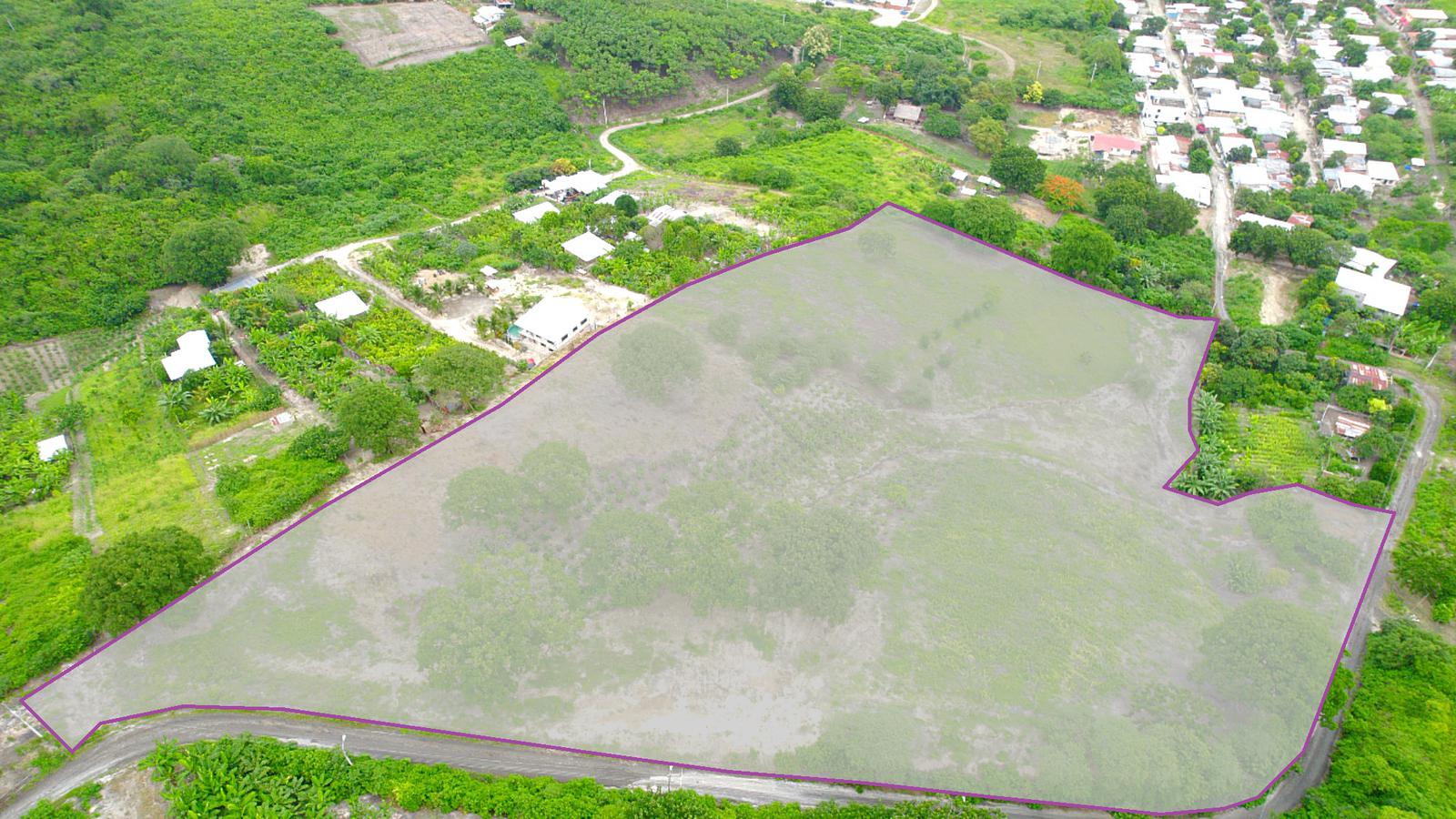 Venta de Finca de 6 hectáreas con árboles frutales por la Vía a Santa Ana