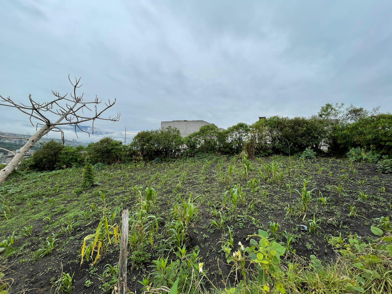 Terreno en  venta en Santo Domingo de Cutuglagua cantón Mejia