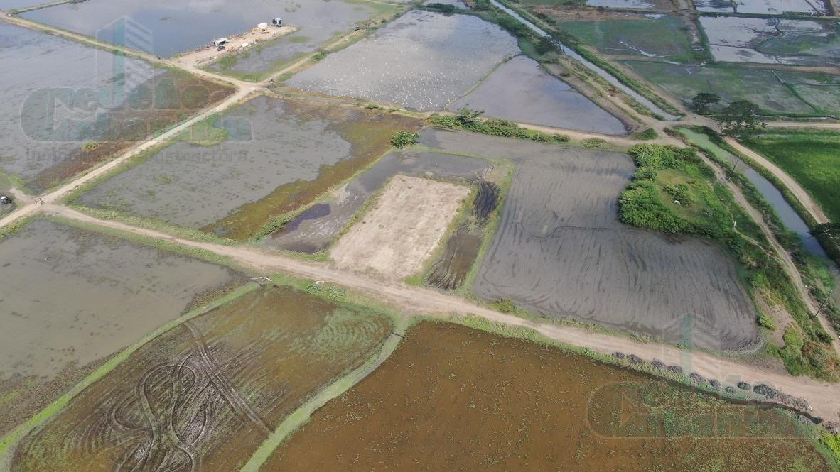 VENTA DE TERRENO RELLENADO EN LOTIZACIÓN BUIJO A UNA CUADRA DE LA VÍA DE INGRESO