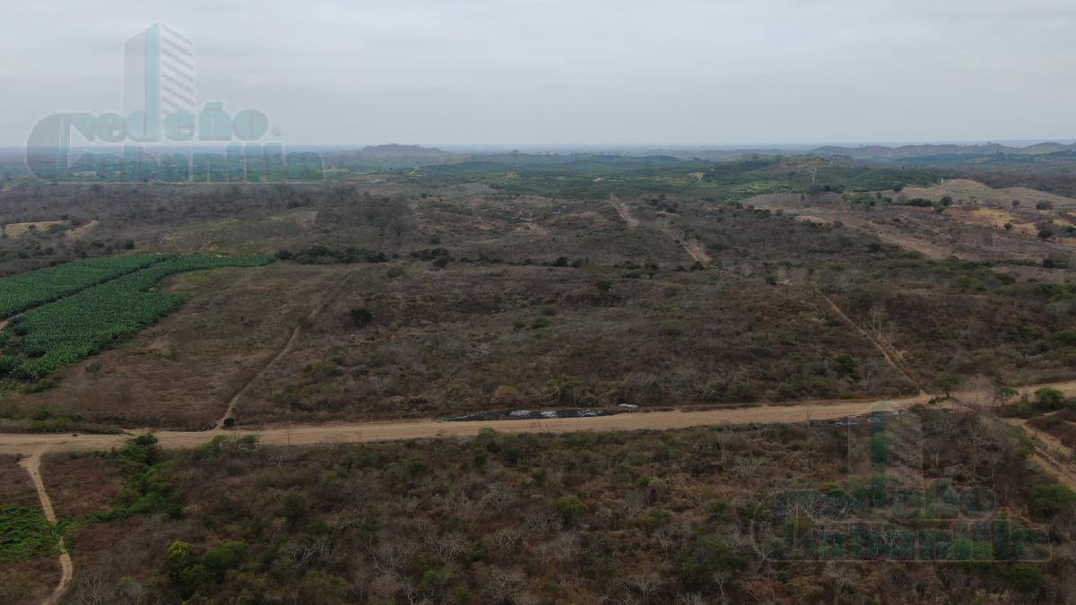 VENTA DE HACIENDA EN KM 43 SOBRE  VIA A LA COSTA Y DA AL CANAL  DE CEDEGE