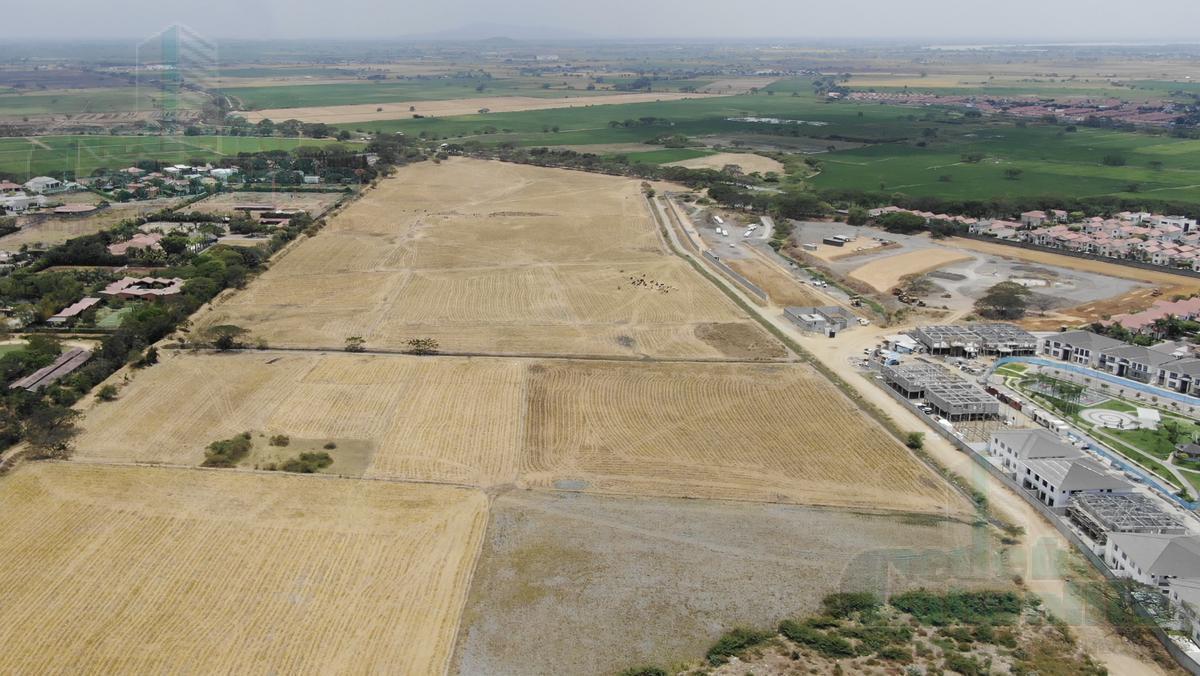 VENTA DE TERRENO COMERCIAL  VIA SAMBORONDON  SECTOR CORTIJO