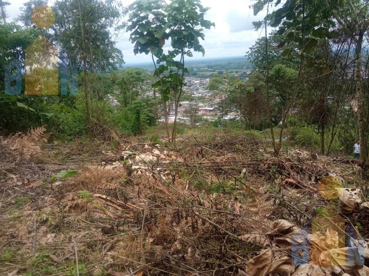 Terreno en  venta en Santo Domingo de los Tsáchilas sector Bombolí