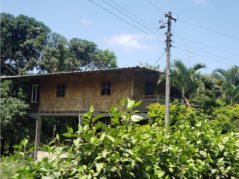 Se vende Finca Hacienda 24ha en Santa Ana Manabí