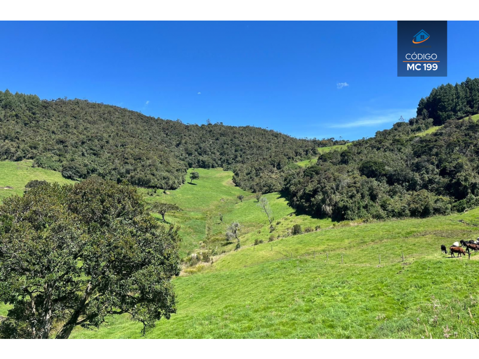 EXTENSO TERRENO EN VENTA EN CHIQUINTAD CUENCA ECUADOR