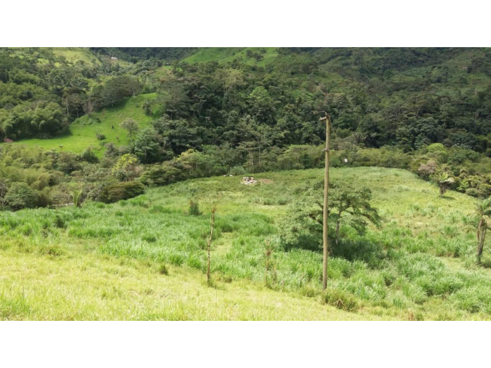 Nanegalito Vendo Hacienda Ganadera en Plena Produccion de 72 Hct