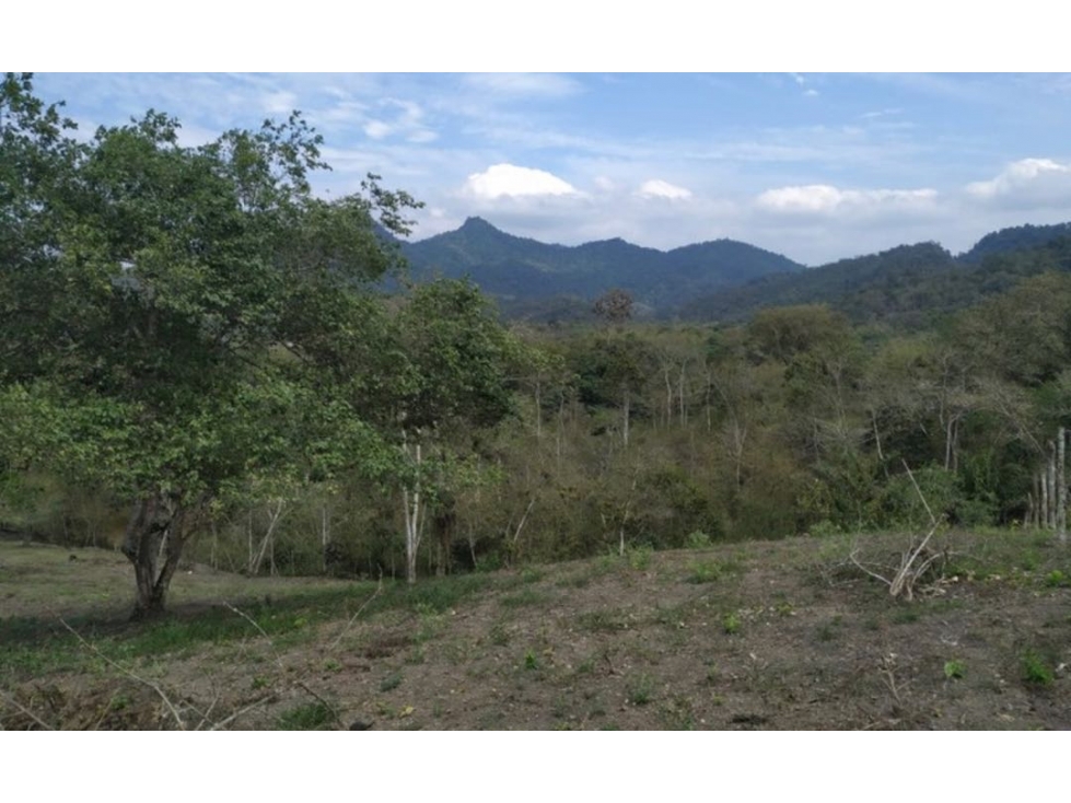 Amplío terreno en San Vicente de Loja 1,834m2  $49,000